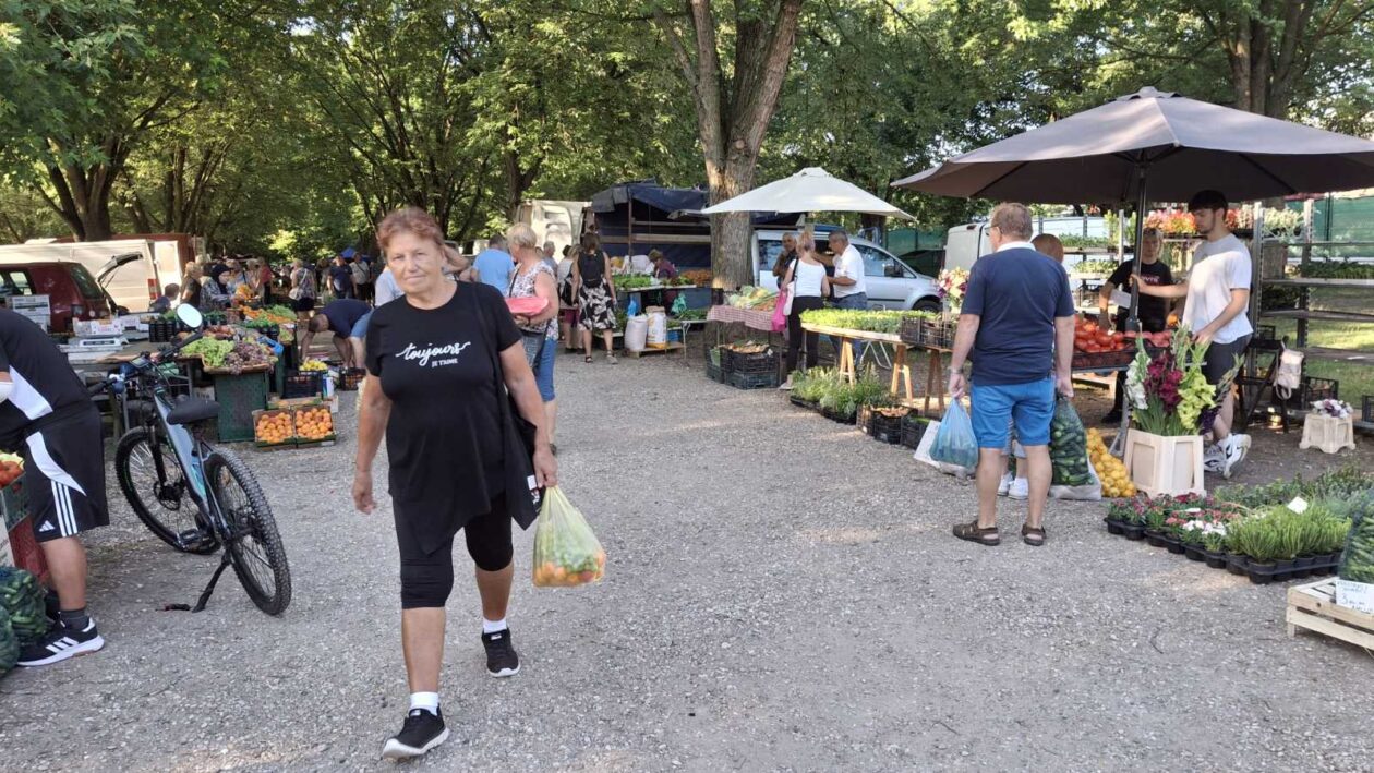 sajam srijedom23072025 (53) sajam srijedom23072025 (53)