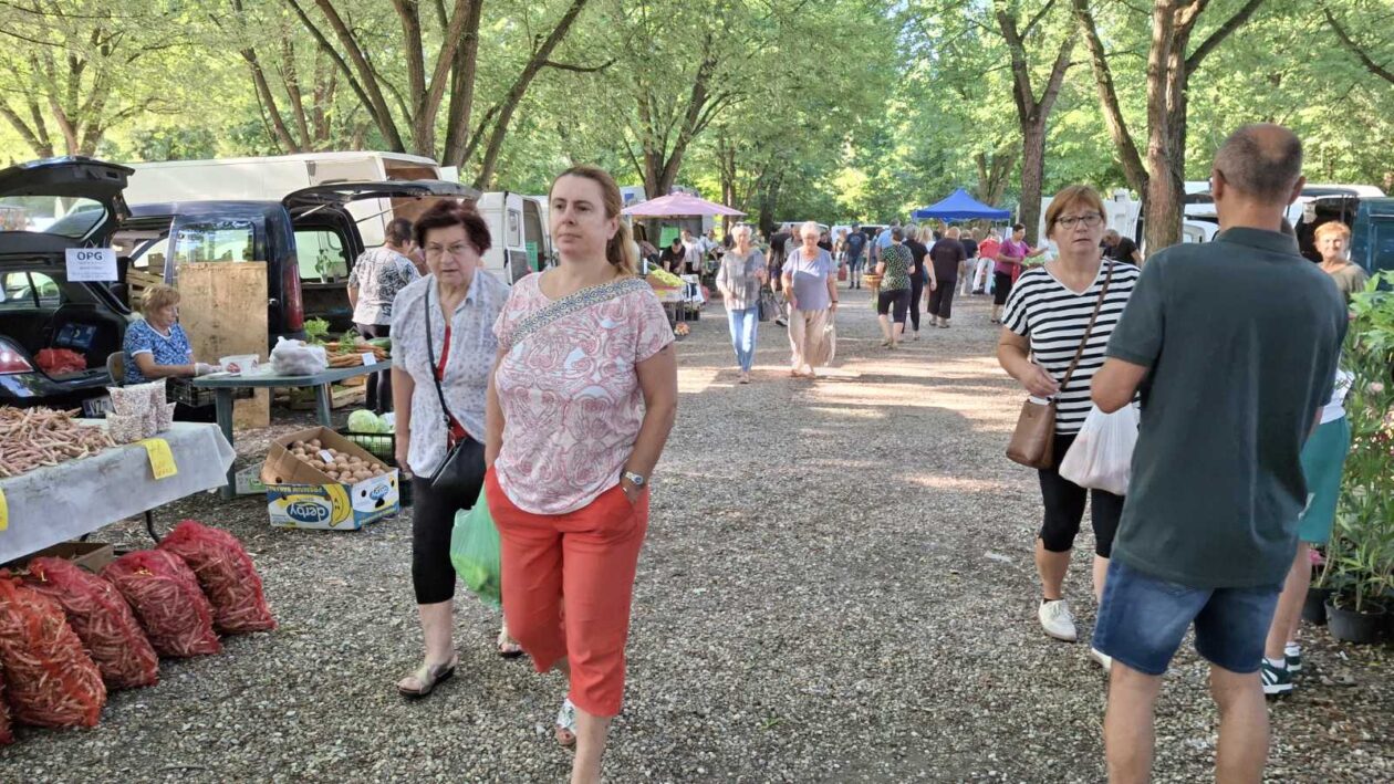 sajam srijedom23072025 (58) sajam srijedom23072025 (58)