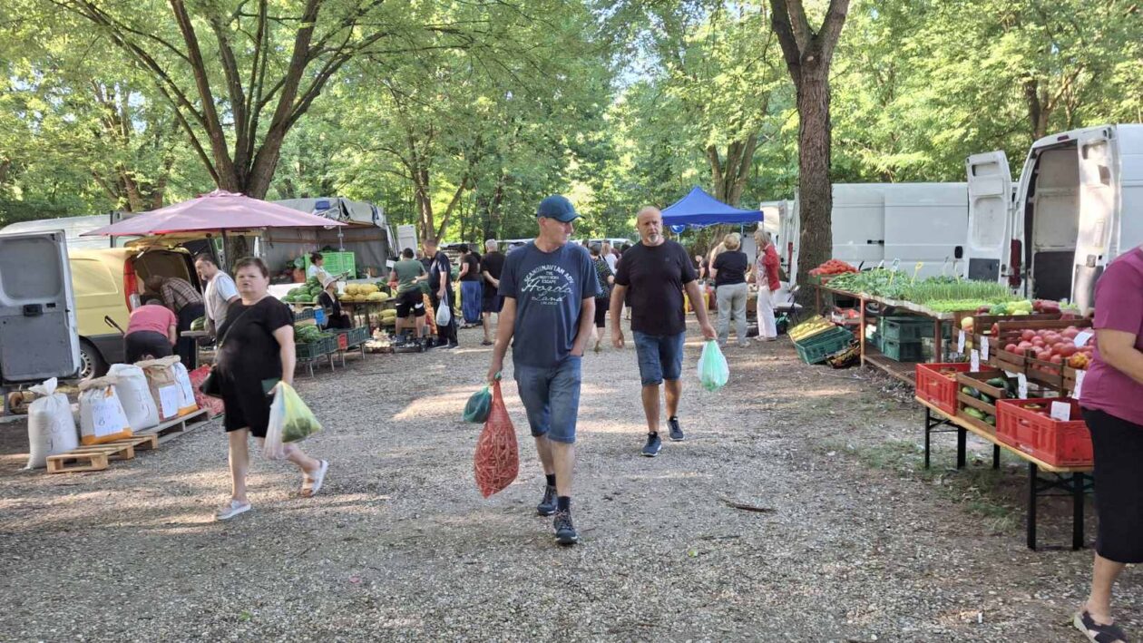 sajam srijedom23072025 (59) sajam srijedom23072025 (59)