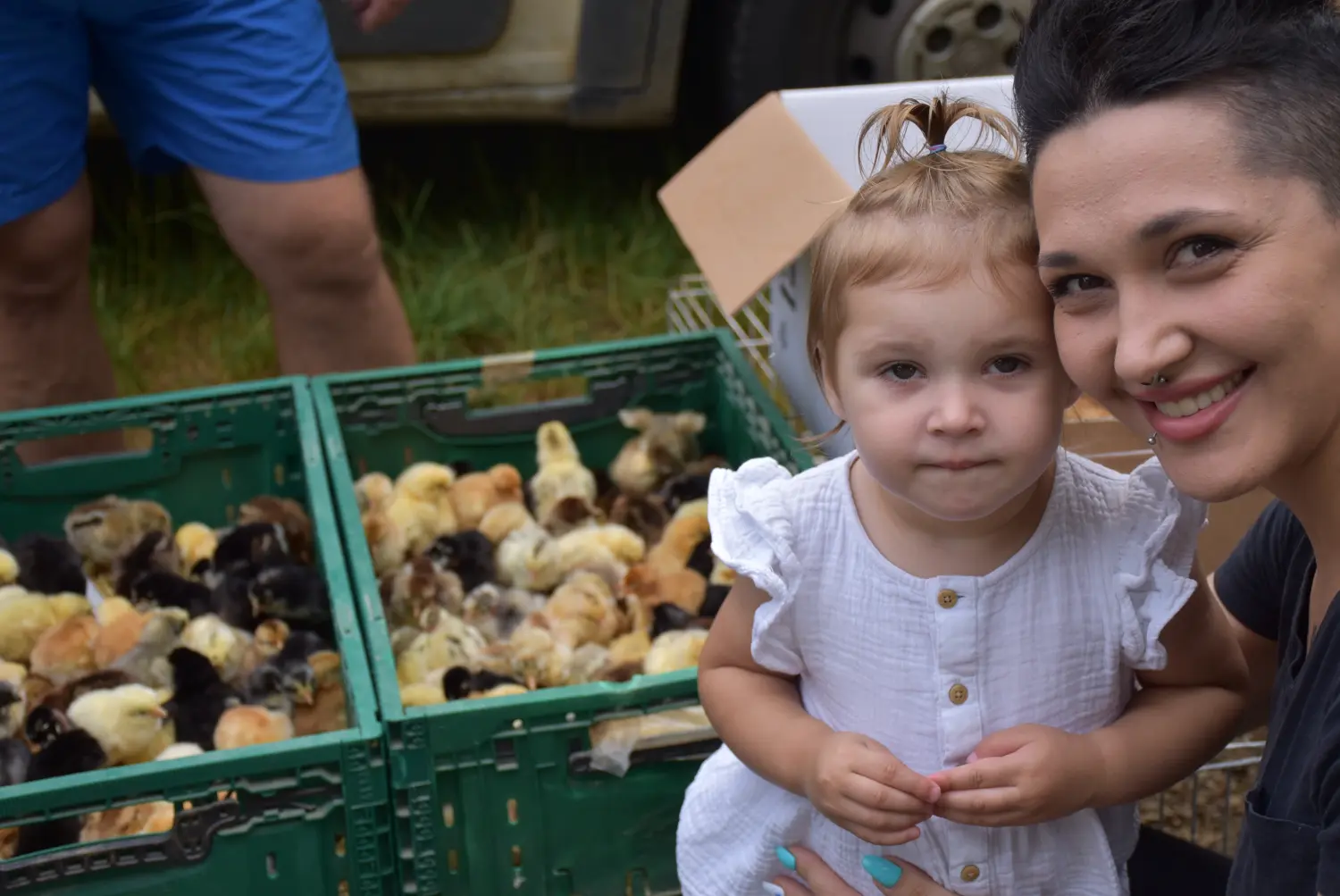 sajam srijedom,26.6.2024 (10) sajam srijedom,26.6.2024 (10)