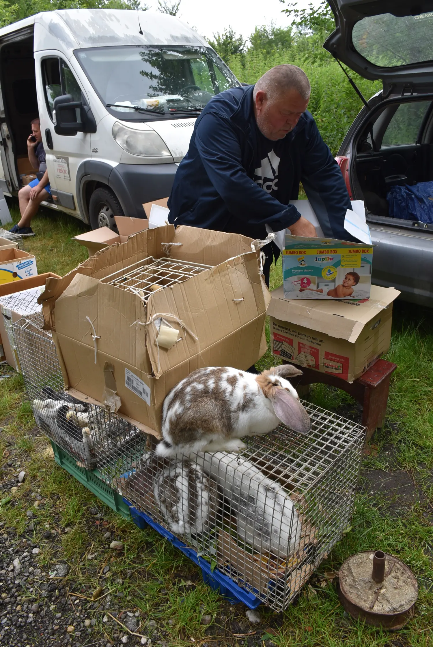 sajam srijedom,26.6.2024 (13) sajam srijedom,26.6.2024 (13)