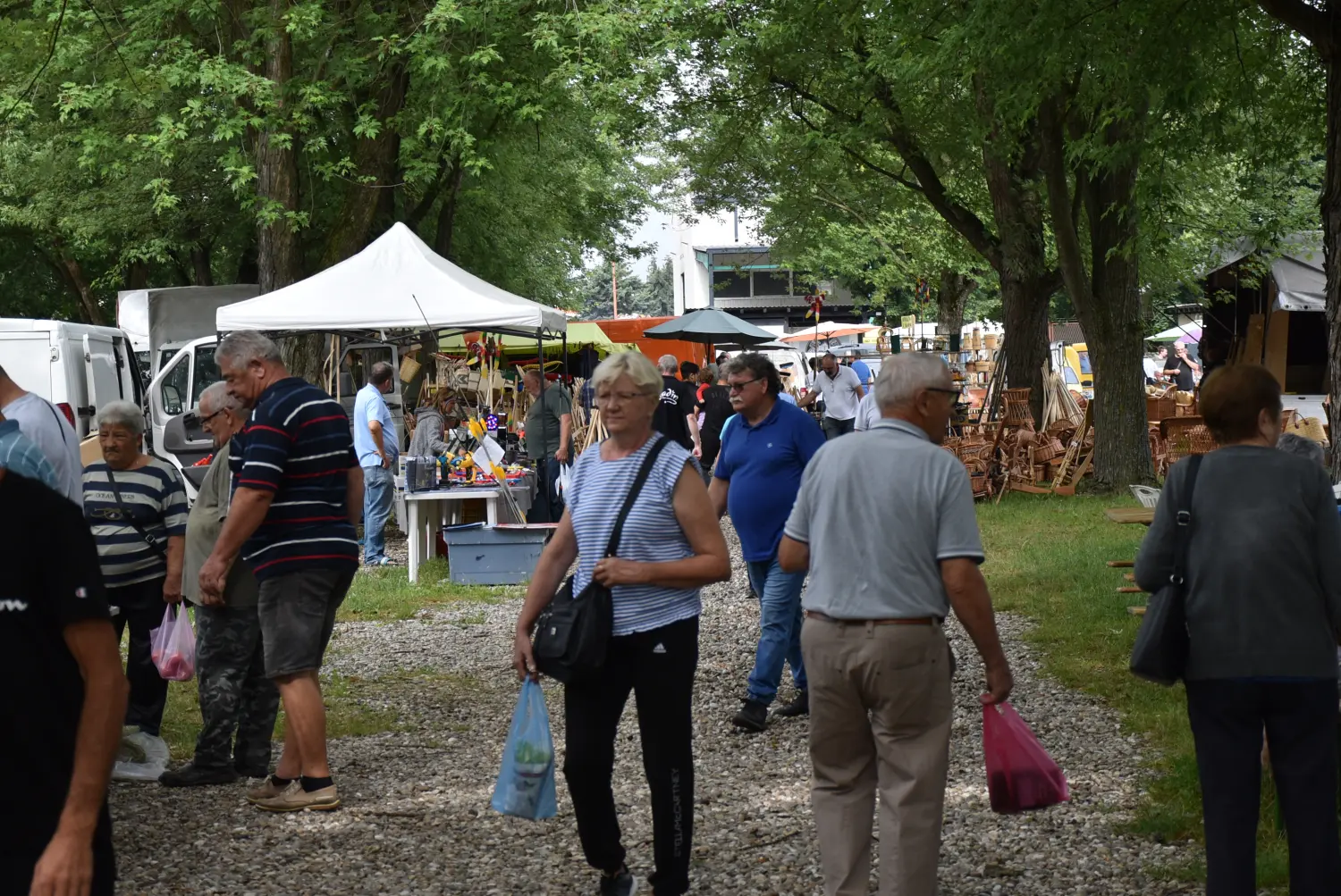 sajam srijedom,26.6.2024 (17) sajam srijedom,26.6.2024 (17)