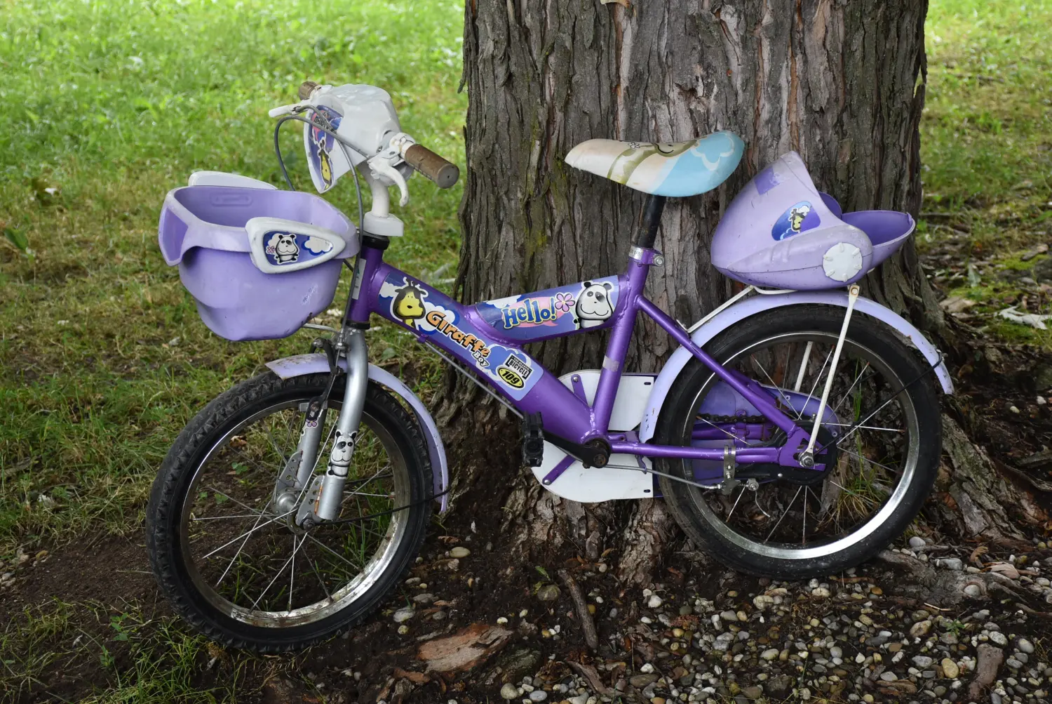 sajam srijedom,26.6.2024 (20) sajam srijedom,26.6.2024 (20)