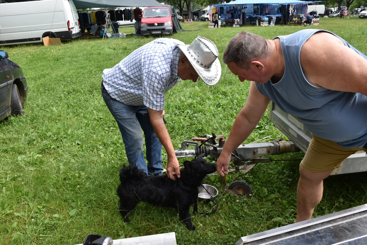 sajam srijedom,26.6.2024 (30) sajam srijedom,26.6.2024 (30)