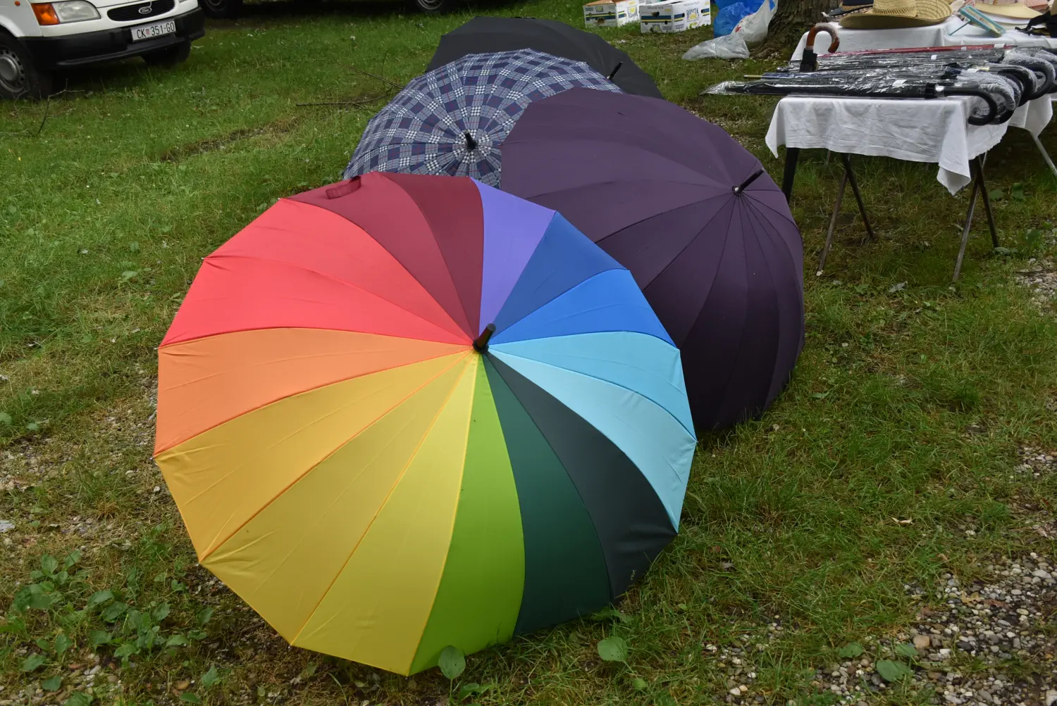 sajam srijedom,26.6.2024 (35) sajam srijedom,26.6.2024 (35)