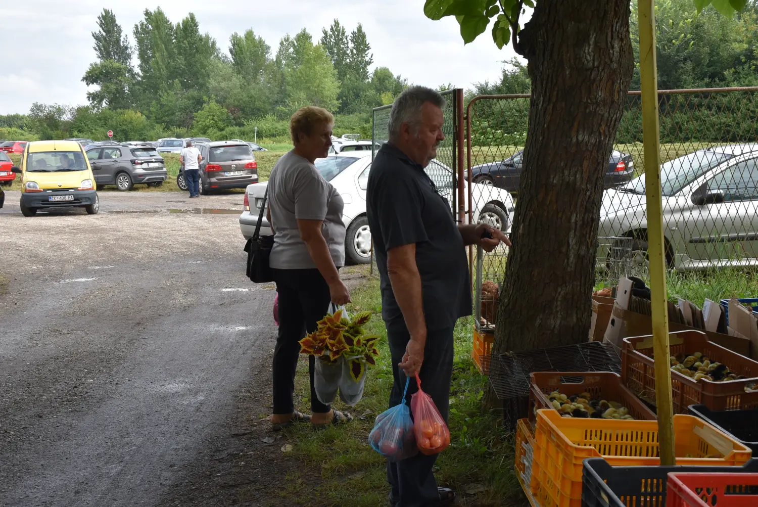 sajam srijedom,26.6.2024 (4) sajam srijedom,26.6.2024 (4)