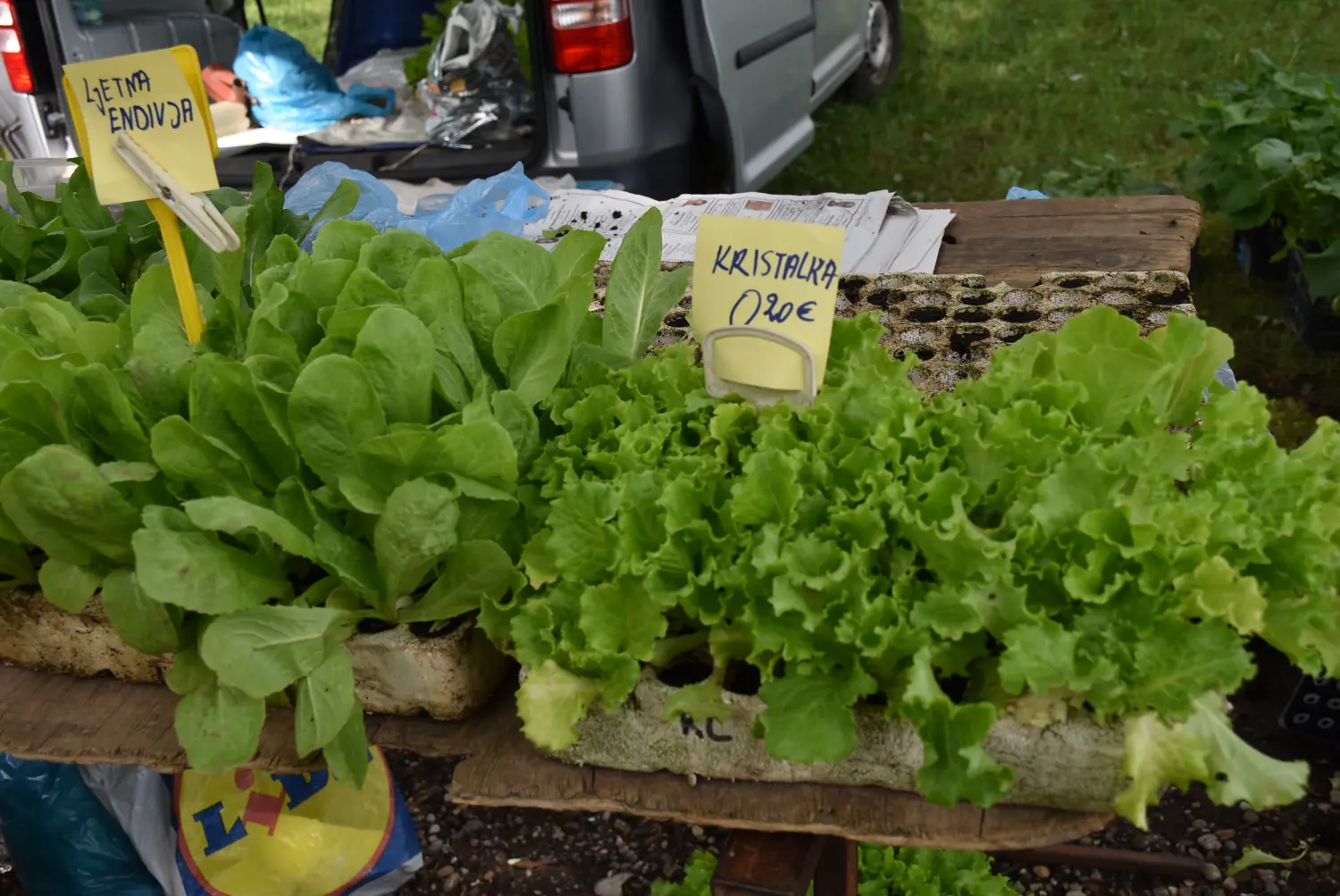 sajam srijedom,26.6.2024 (49) sajam srijedom,26.6.2024 (49)