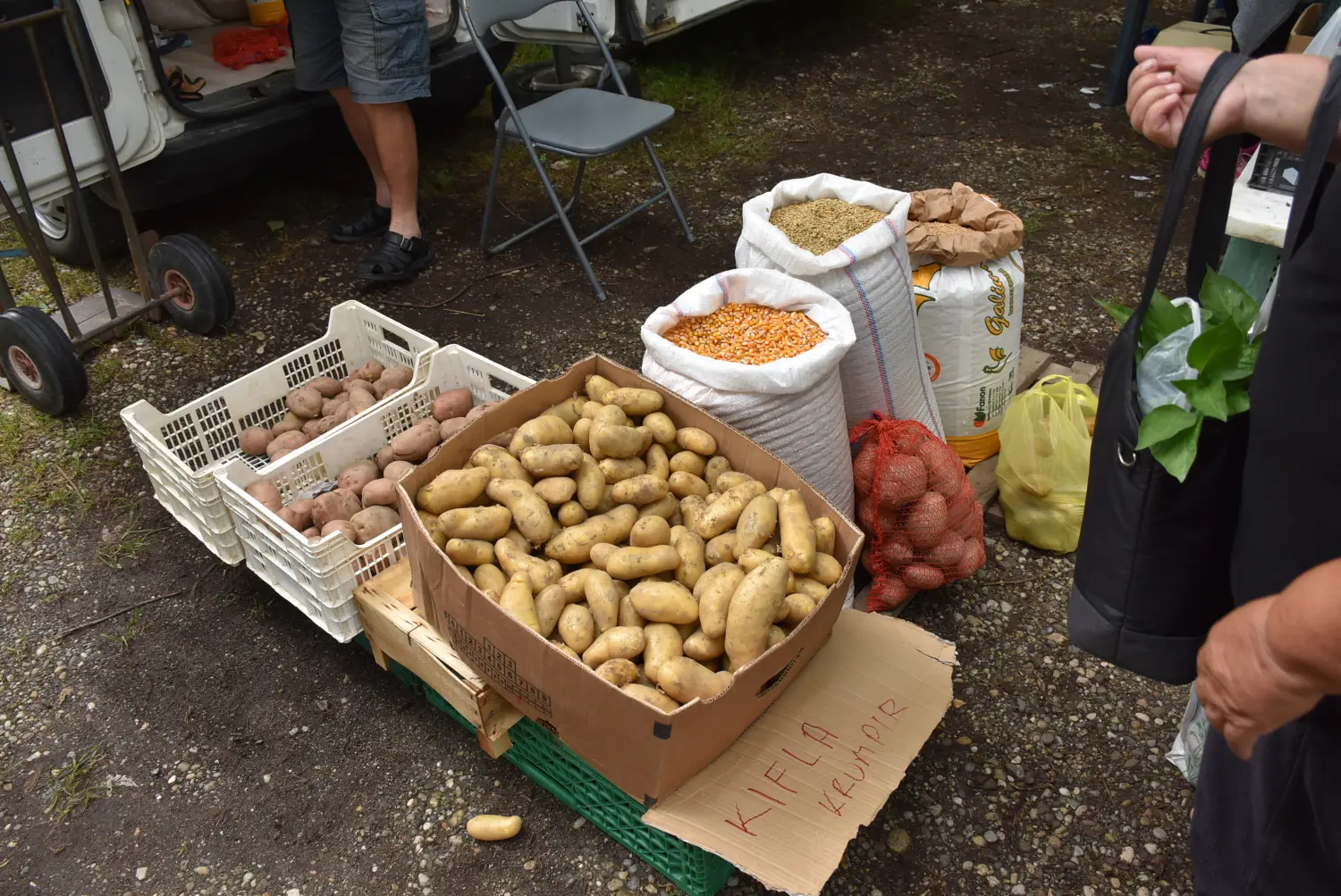 sajam srijedom,26.6.2024 (52) sajam srijedom,26.6.2024 (52)