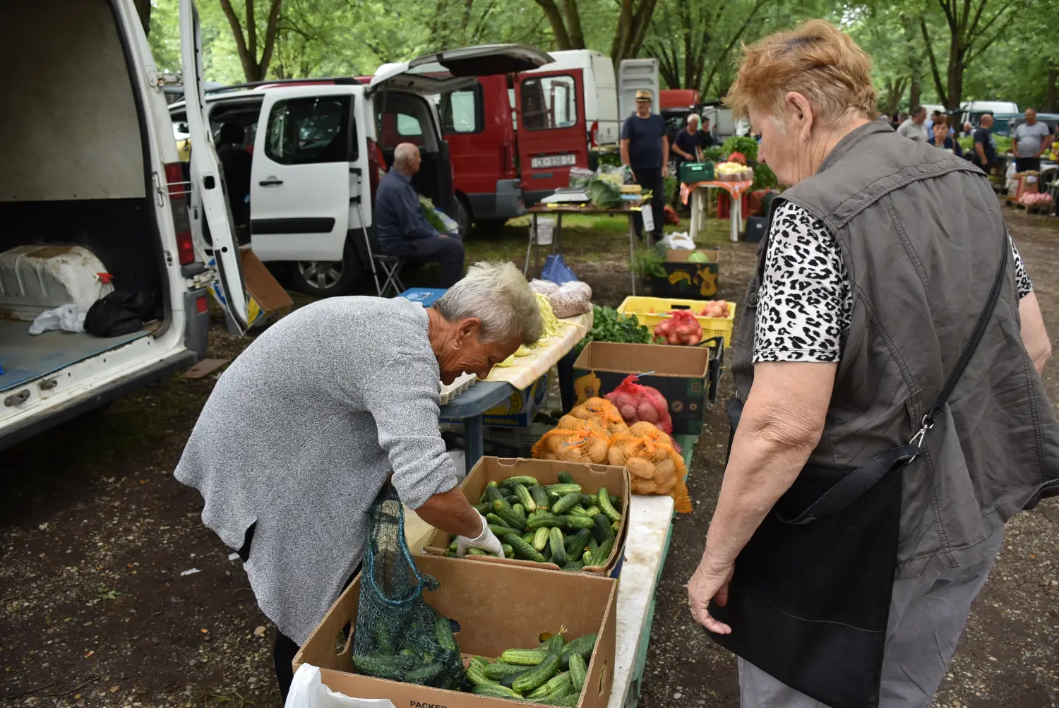 sajam srijedom,26.6.2024 (53) sajam srijedom,26.6.2024 (53)