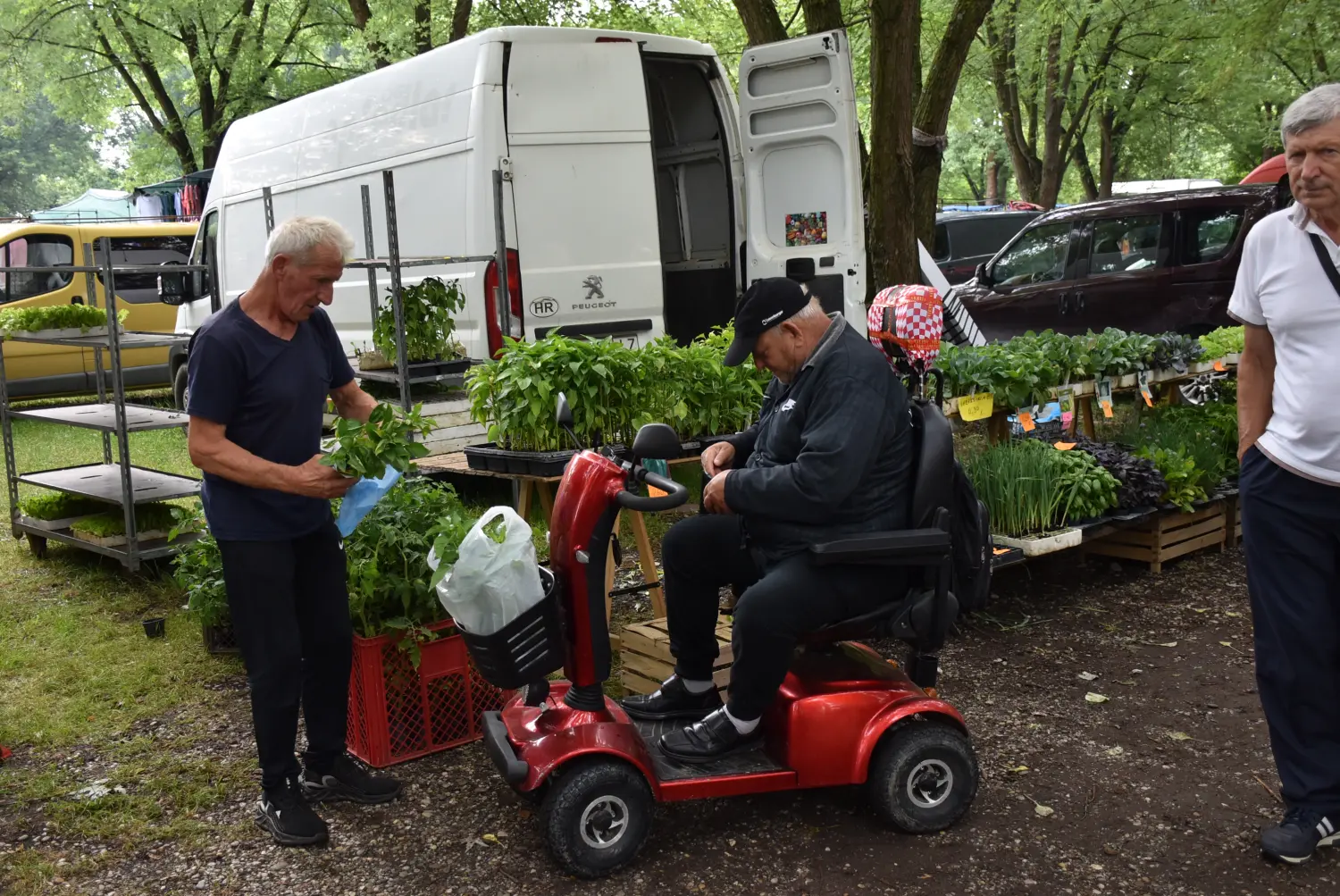 sajam srijedom,26.6.2024 (55) sajam srijedom,26.6.2024 (55)