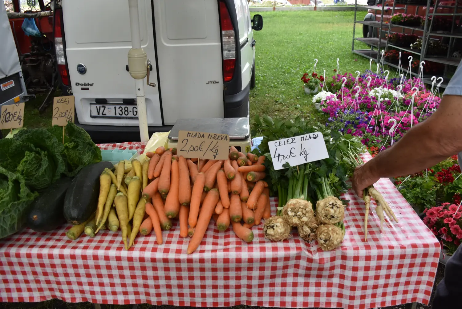 sajam srijedom,26.6.2024 (56) sajam srijedom,26.6.2024 (56)
