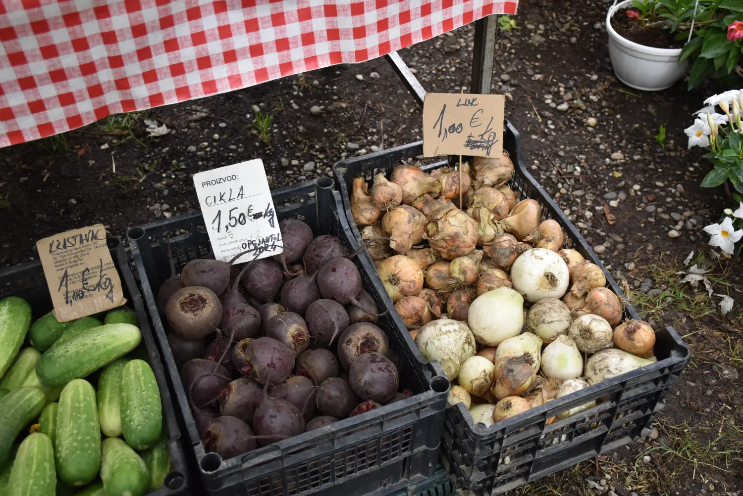 sajam srijedom,26.6.2024 (61) sajam srijedom,26.6.2024 (61)