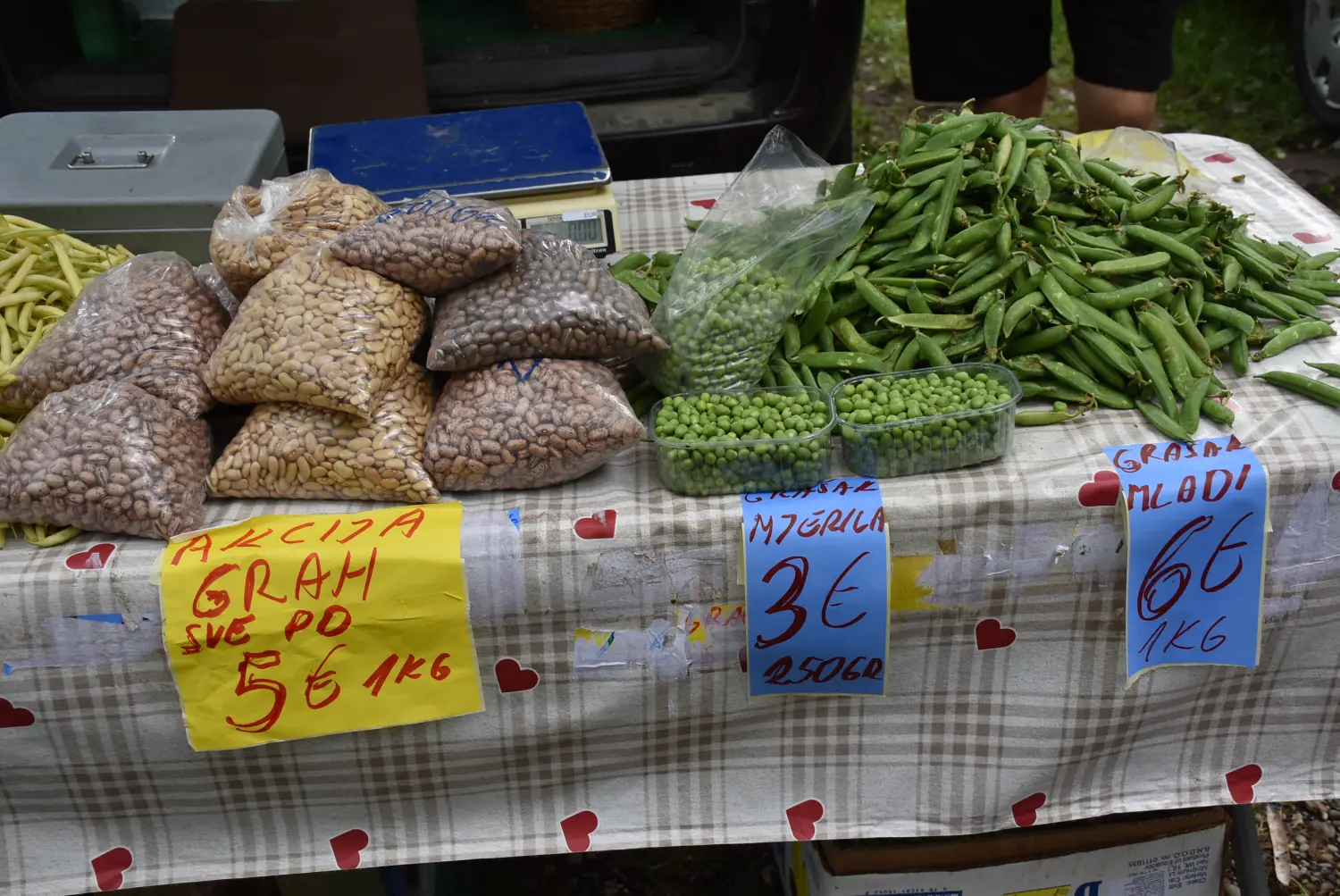 sajam srijedom,26.6.2024 (63) sajam srijedom,26.6.2024 (63)