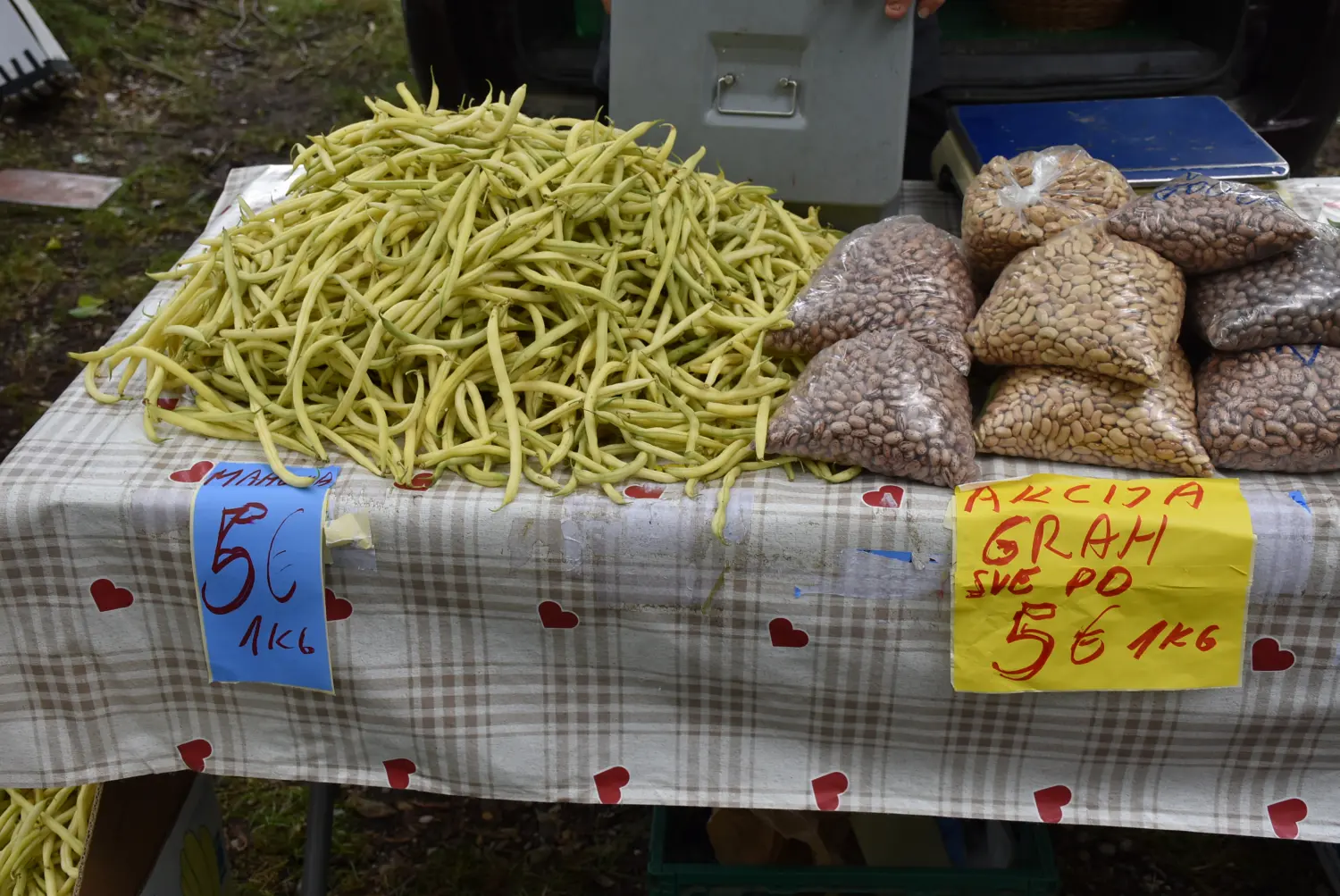 sajam srijedom,26.6.2024 (64) sajam srijedom,26.6.2024 (64)