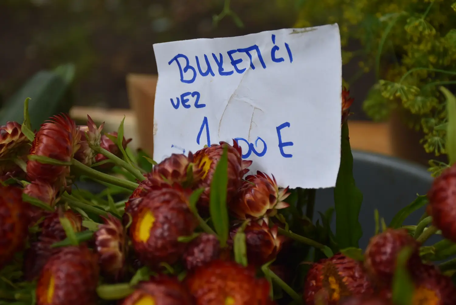 sajam srijedom,26.6.2024 (66) sajam srijedom,26.6.2024 (66)