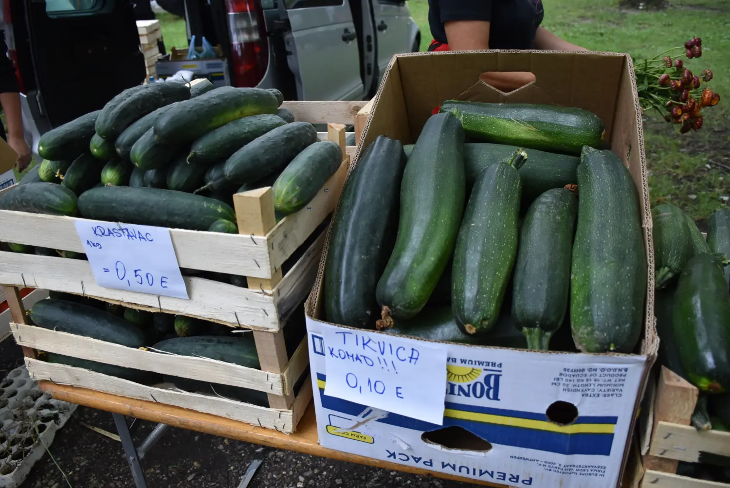 sajam srijedom,26.6.2024 (67) sajam srijedom,26.6.2024 (67)