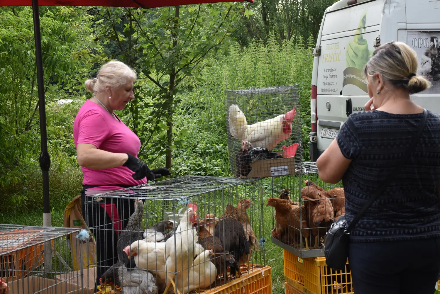 sajam srijedom,26.6.2024 (8) sajam srijedom,26.6.2024 (8)