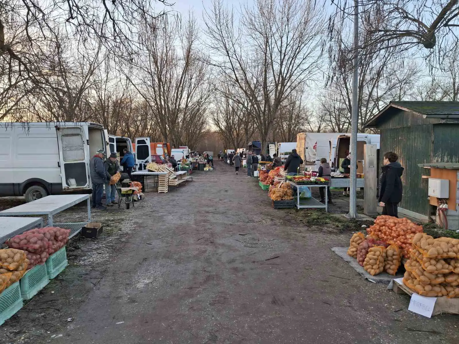 sajam srijedom29 sijecanj 2025 (1) sajam srijedom29 sijecanj 2025 (1)