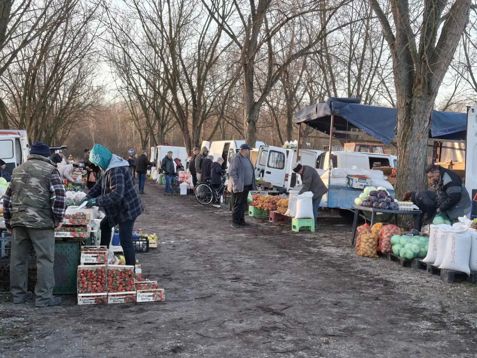 sajam srijedom29 sijecanj 2025 (22) sajam srijedom29 sijecanj 2025 (22)