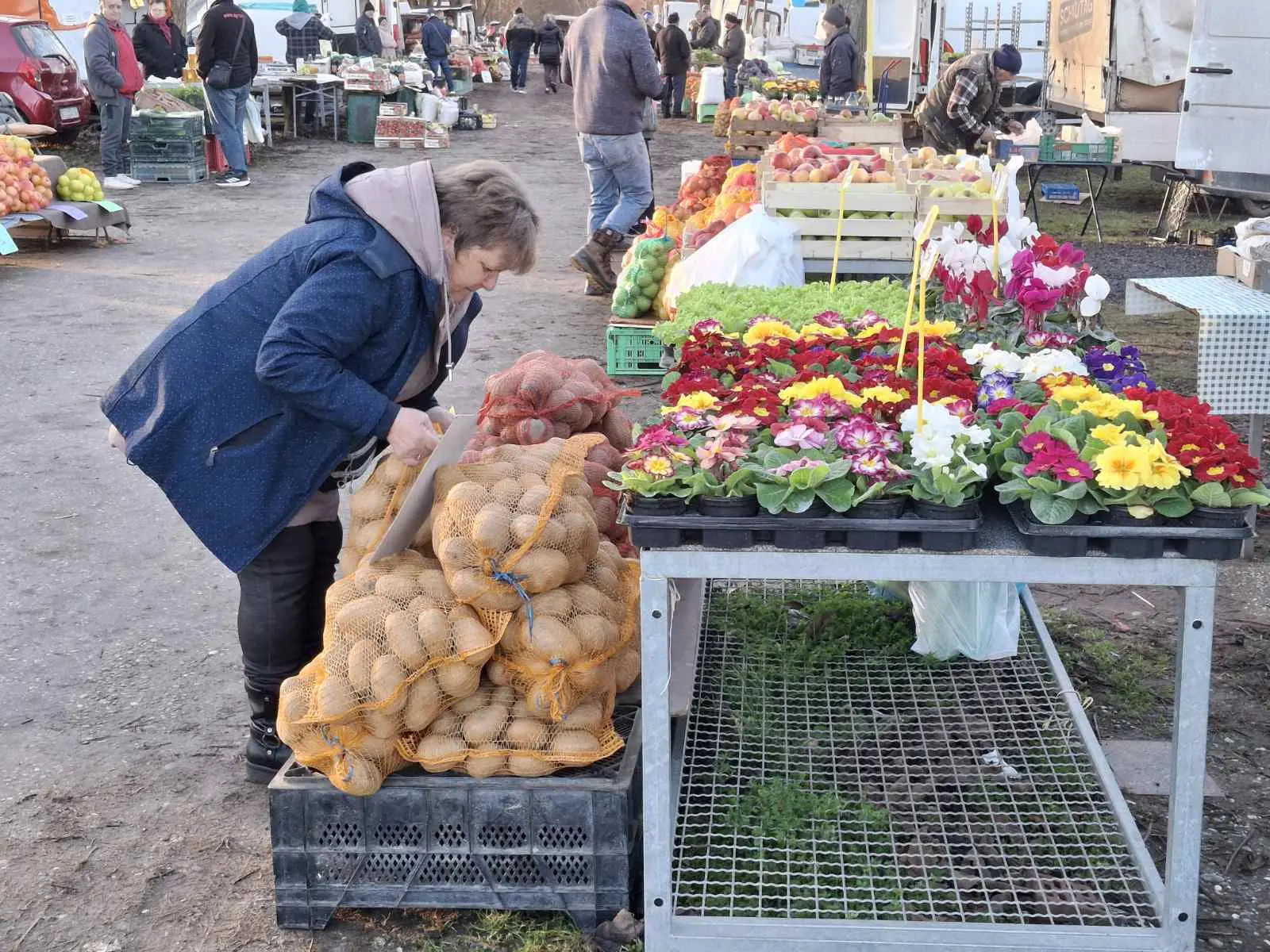 sajam srijedom29 sijecanj 2025 (32) sajam srijedom29 sijecanj 2025 (32)