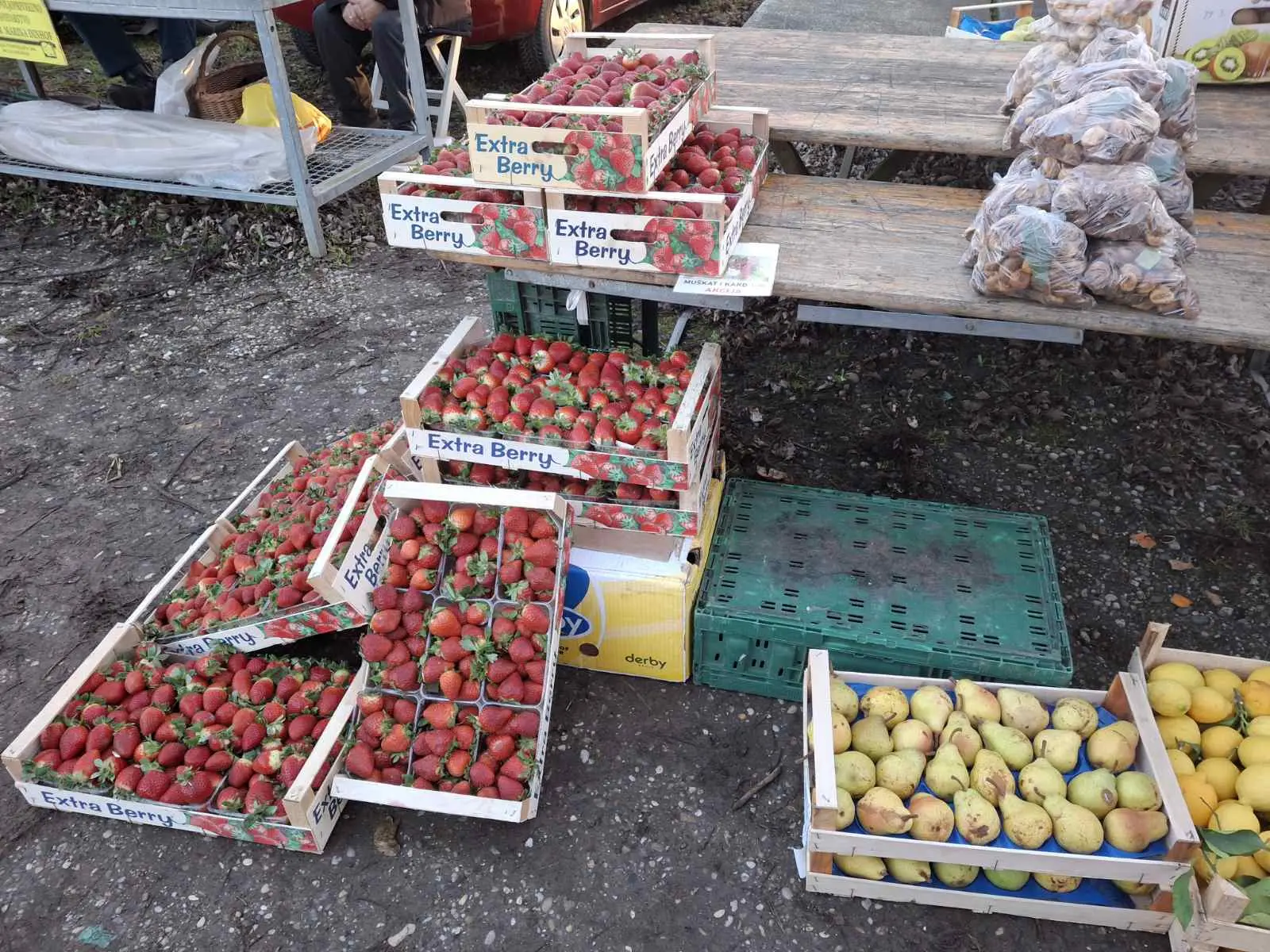 sajam srijedom29 sijecanj 2025 (7) sajam srijedom29 sijecanj 2025 (7)