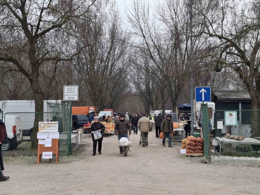 sajam15.1.2025 (1) (Medium) sajam15.1.2025 (1) (Medium)