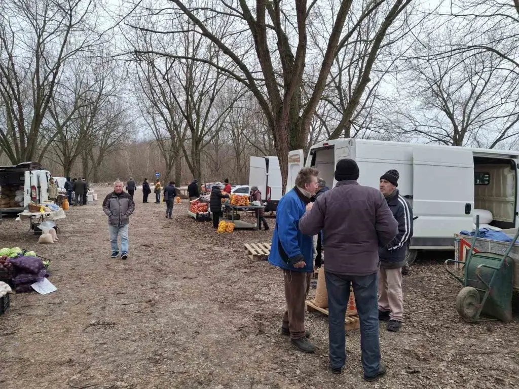 sajam15.1.2025 (10) (Medium) sajam15.1.2025 (10) (Medium)