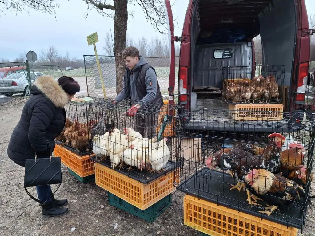 sajam15.1.2025 (20) (Medium) sajam15.1.2025 (20) (Medium)