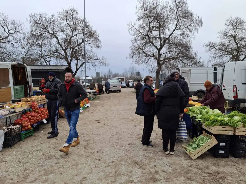 sajam15.1.2025 (35) (Medium) sajam15.1.2025 (35) (Medium)