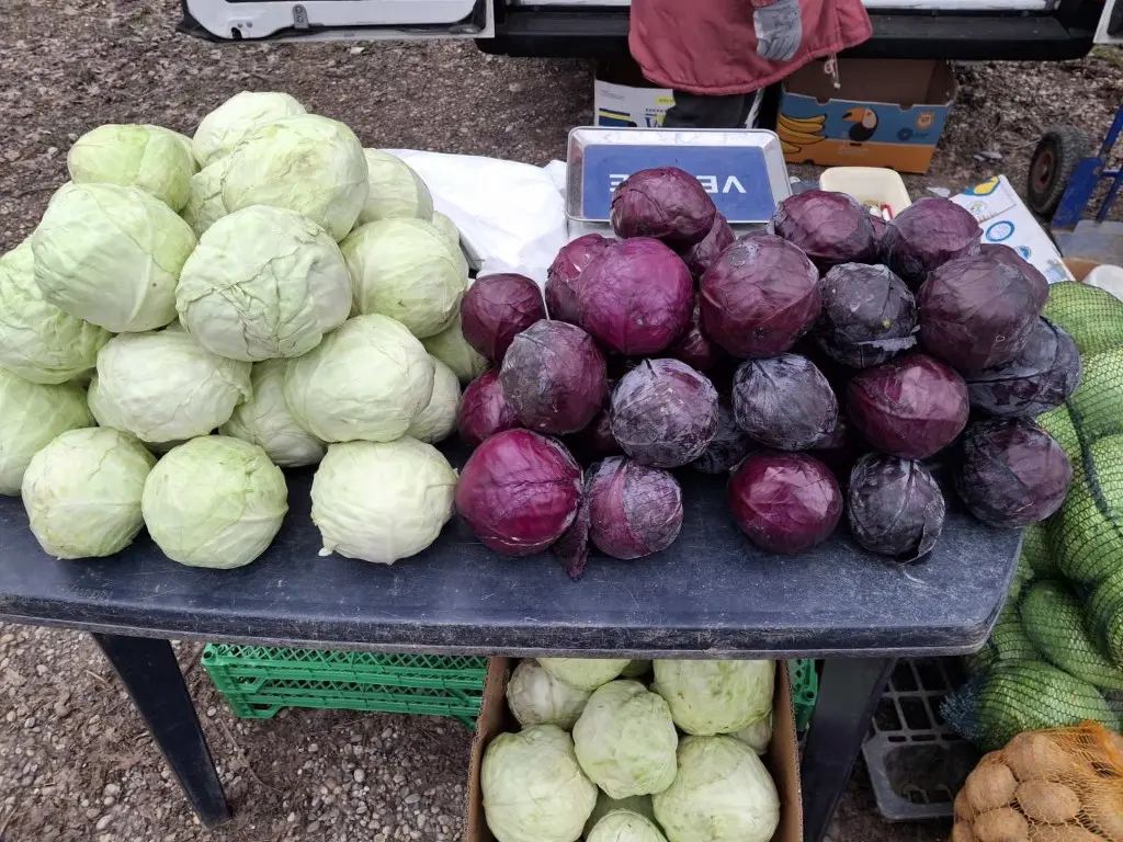 sajam15.1.2025 (7) (Medium) sajam15.1.2025 (7) (Medium)