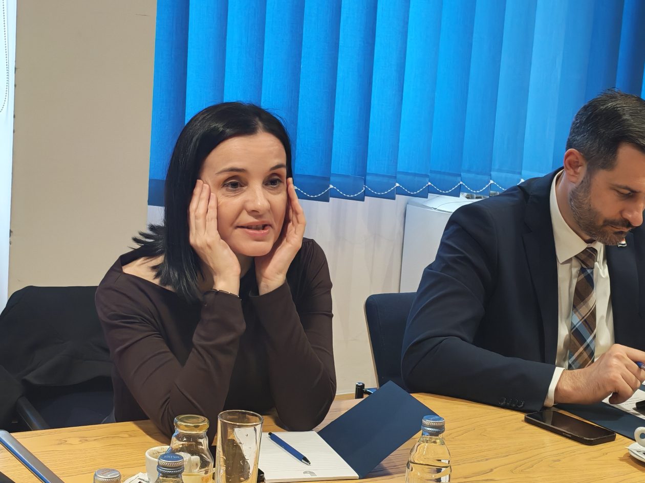 satanak Plenković Posavec županija (14)