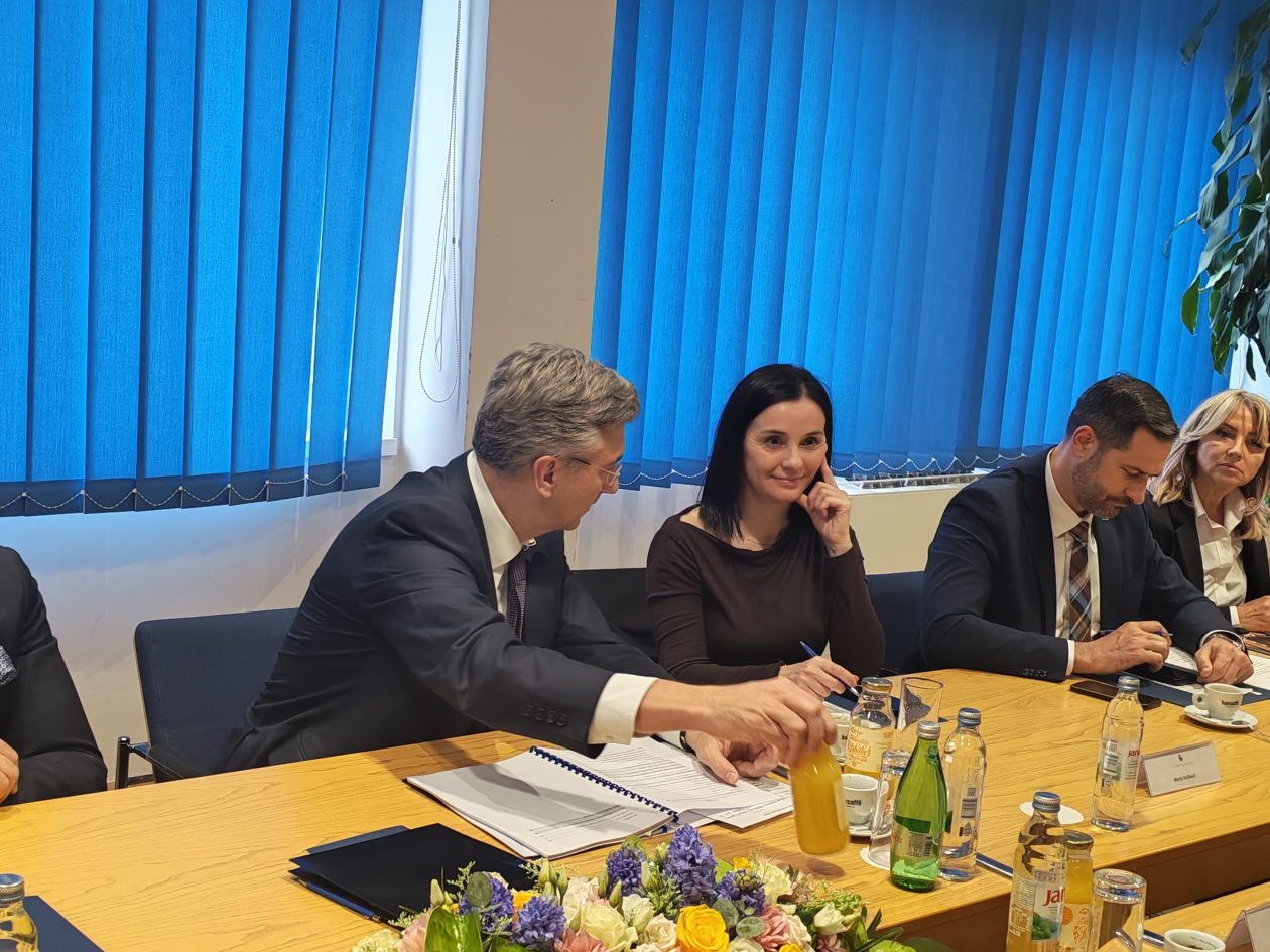 satanak Plenković Posavec županija (22)