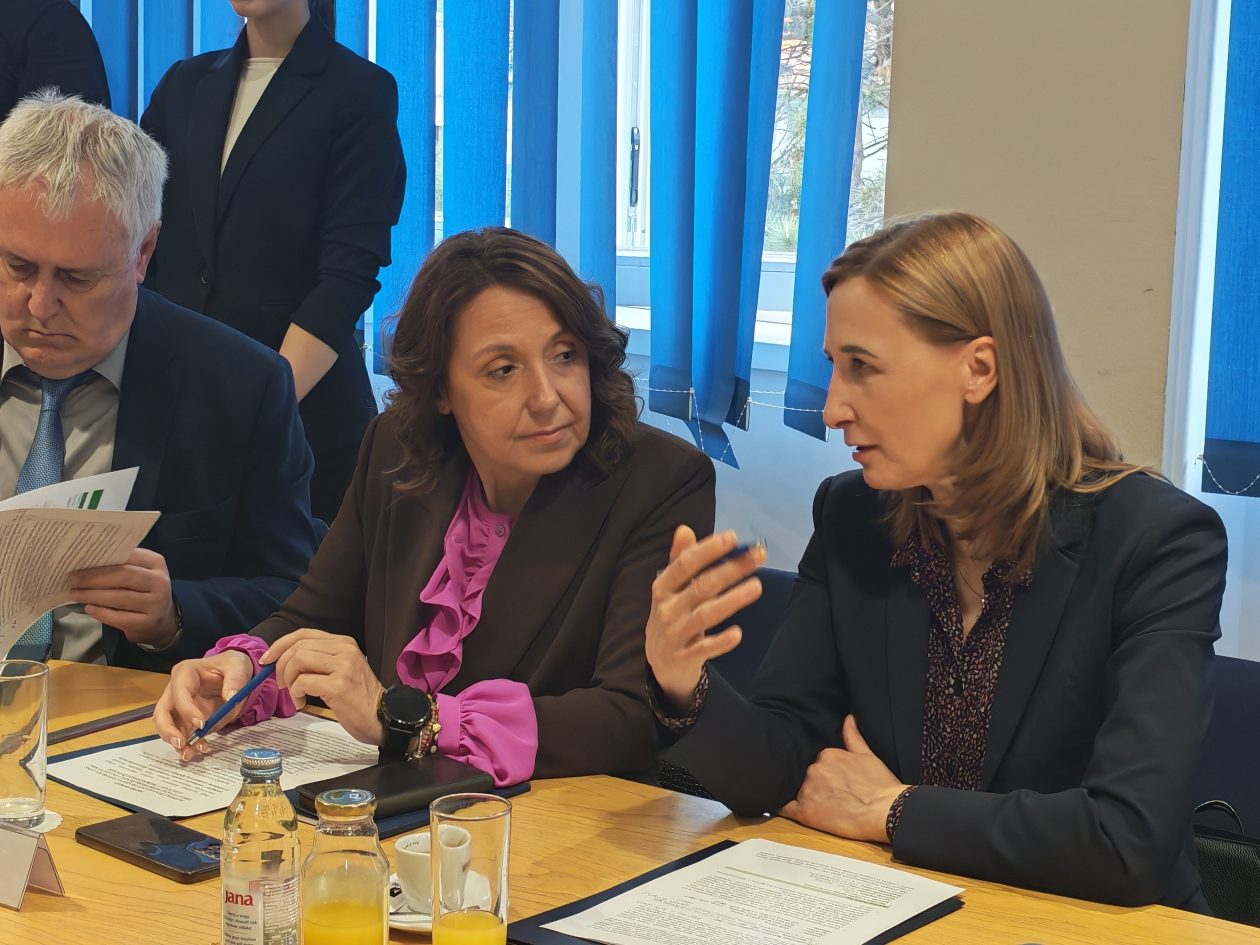 satanak Plenković Posavec županija (9)