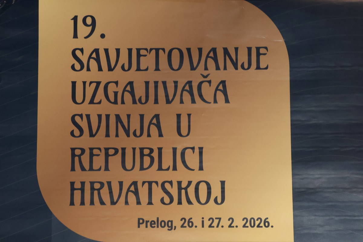 savjetovanje uzgajivača svinja (7)