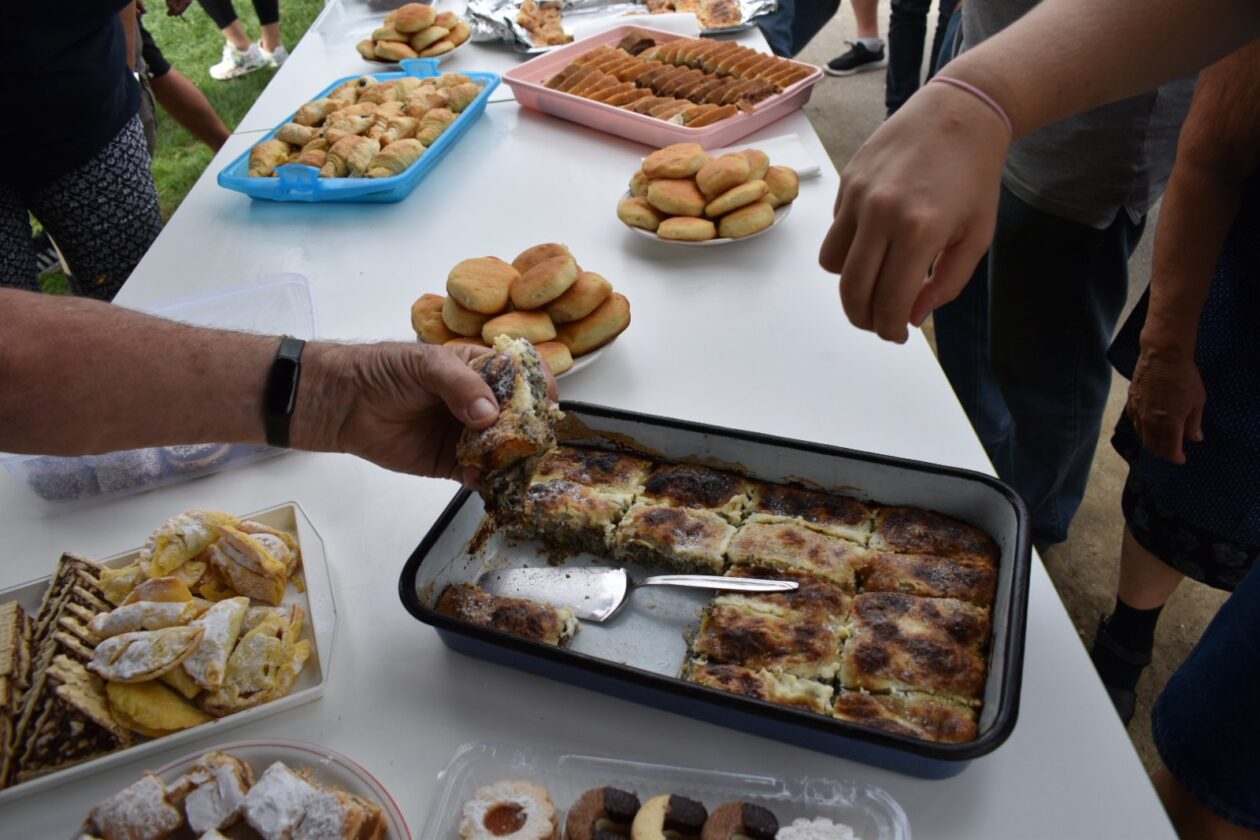 selnička traktorijada (7)