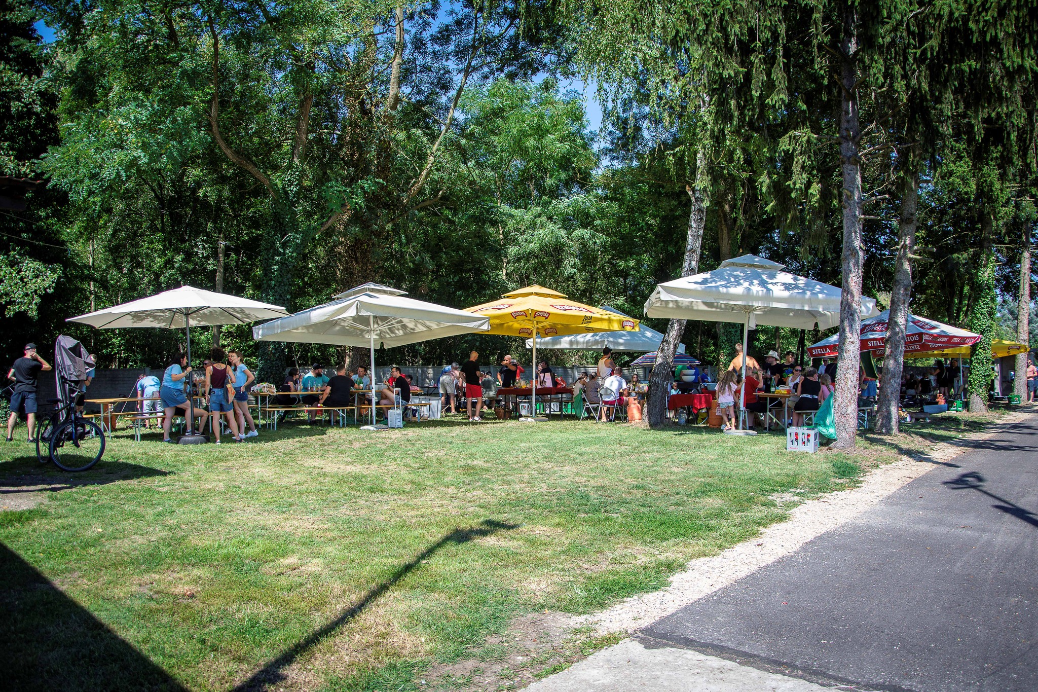 seoske igre i gulešijada gardinovec 2025, općina Belica (11)