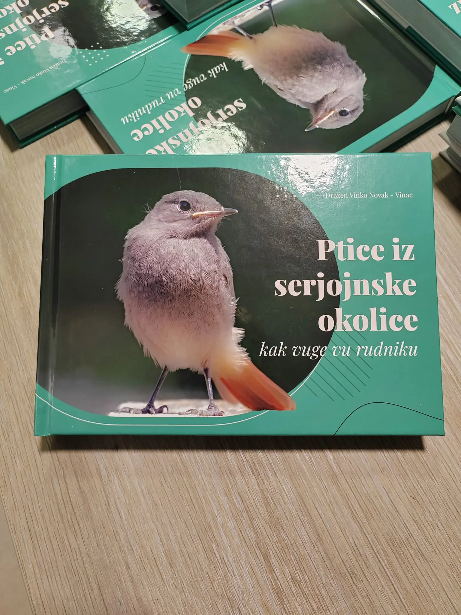 serjojnske ptice (6)