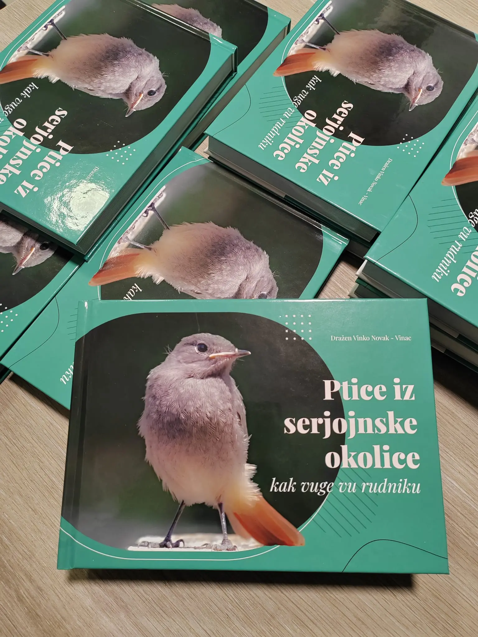 serjojnske ptice (7)