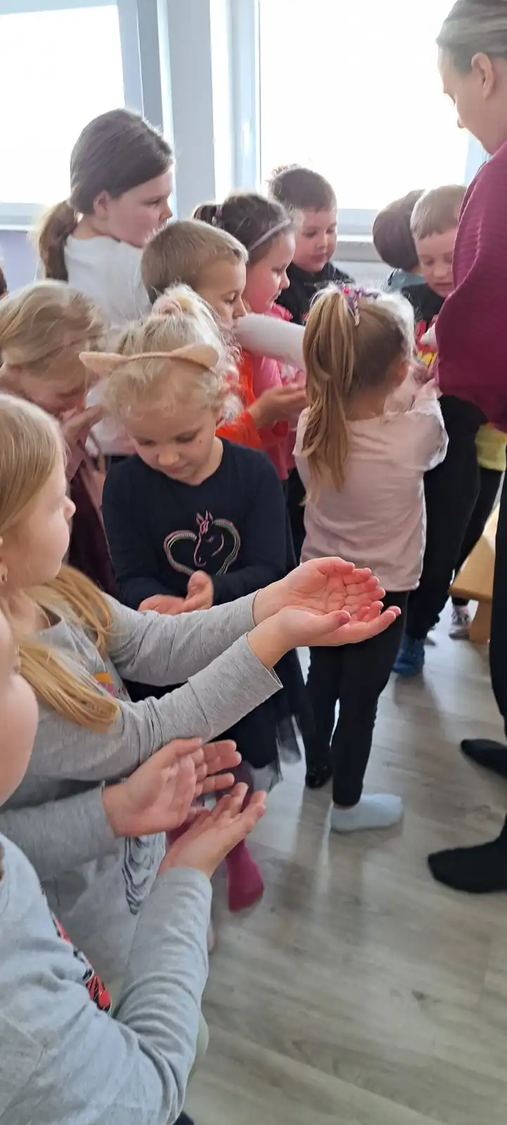 sindrom down,dv cvrčak (19)