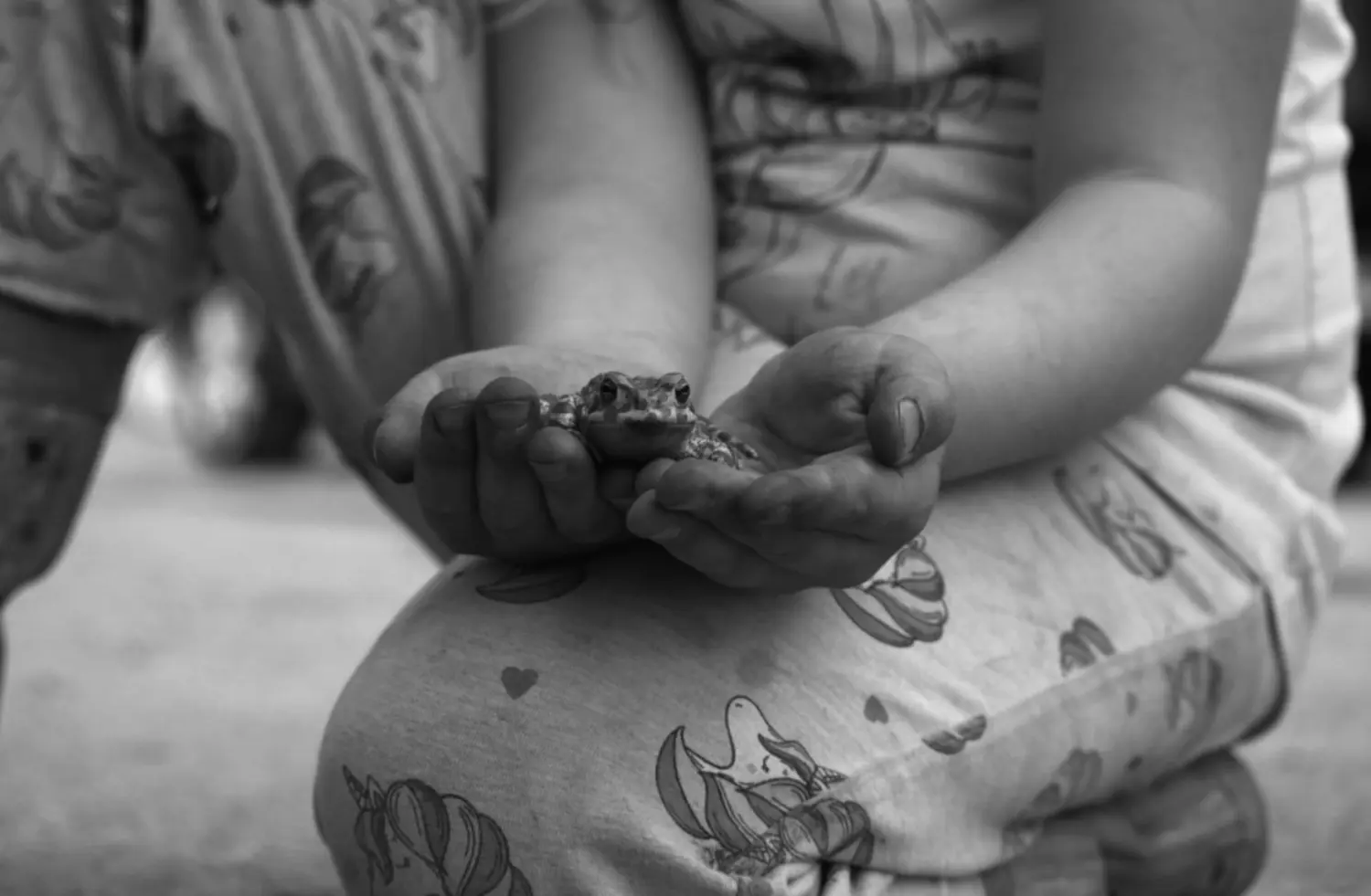 siniša novak izložba (6)