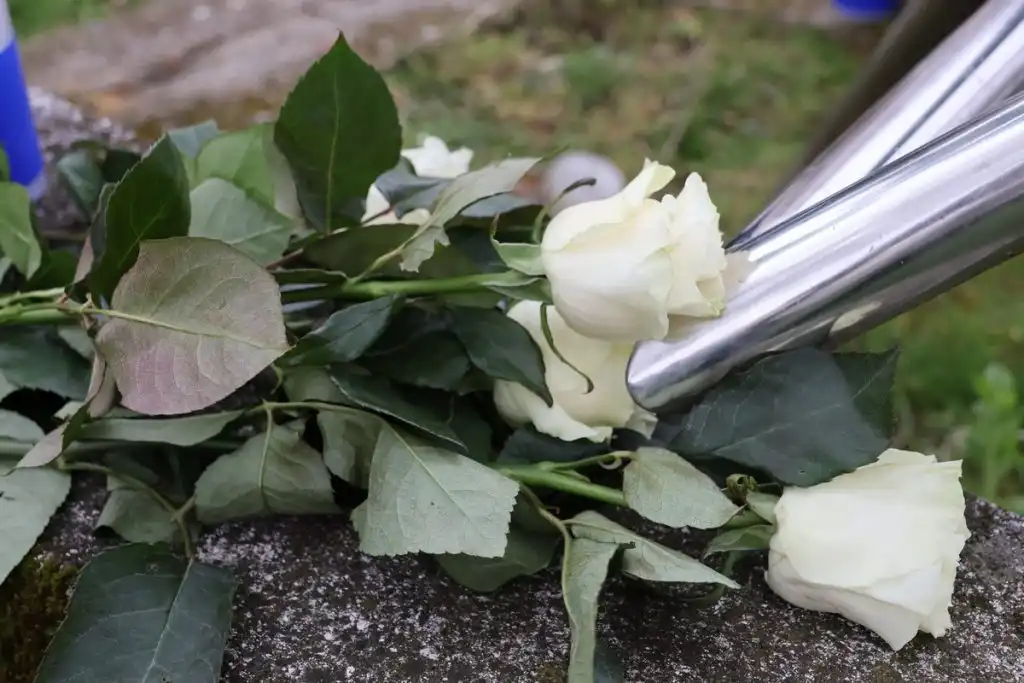 sjećanje na holokaust (2) sjećanje na holokaust (2)