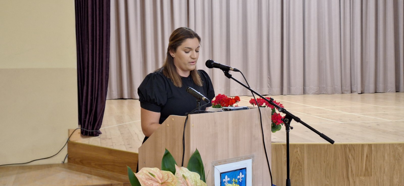 sjednica općina sveta marija (16)