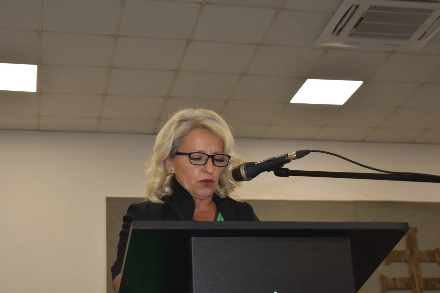 sjednica općinsko vijeća vratišinec, svečana sjednica (12) sjednica općinsko vijeća vratišinec, svečana sjednica (12)