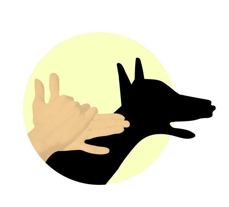 slika-768×725 slika-768×725