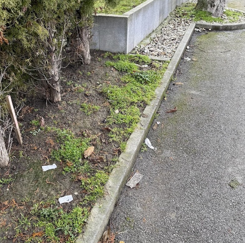 smeće Čakovec Roni Pintarić (3)