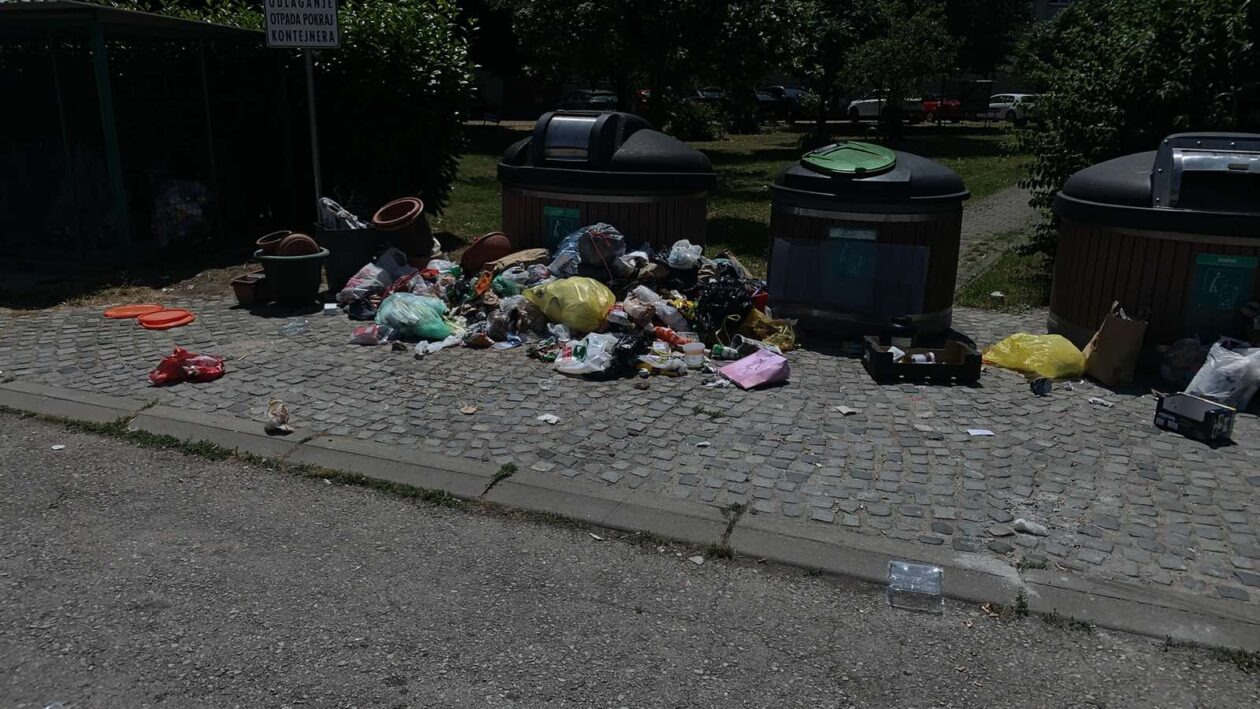 smeće istarska ulica (4)