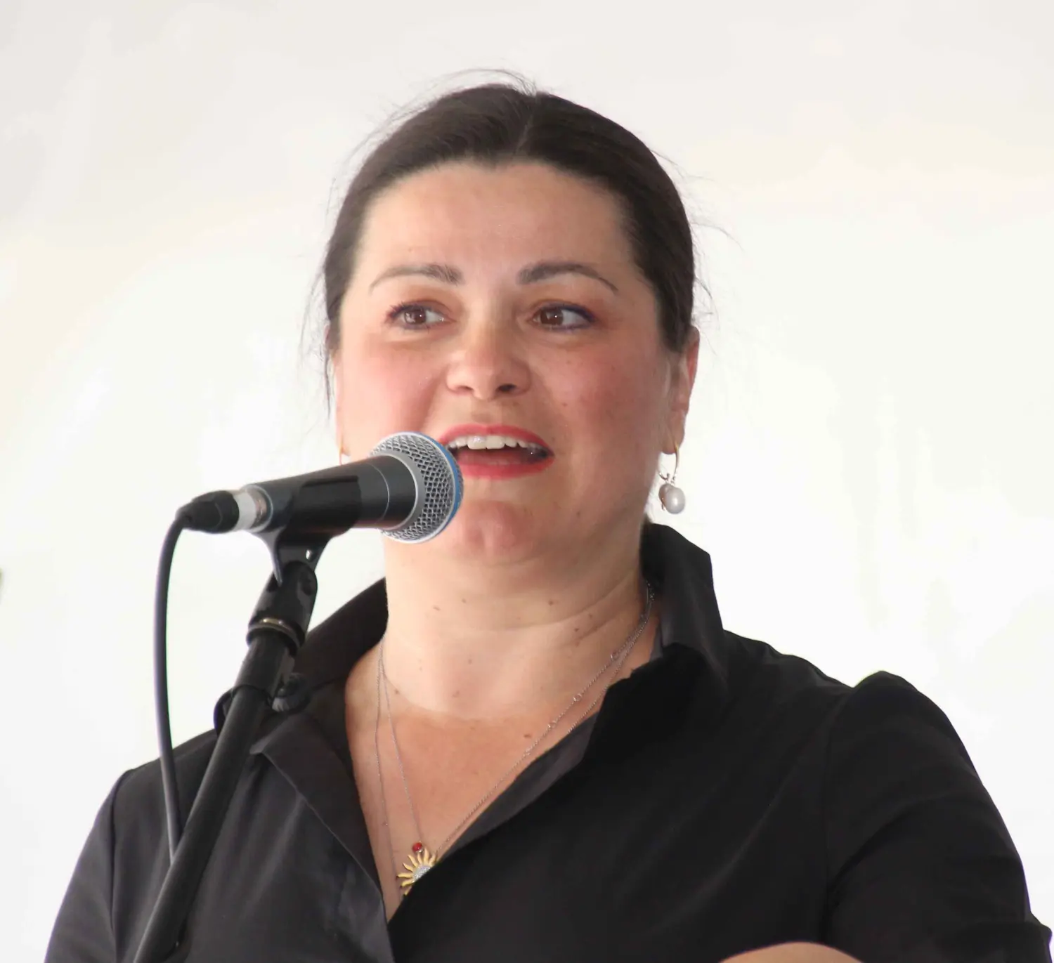 smotra puhačkih orkestara i limene glazbe, dekanovec (41) smotra puhačkih orkestara i limene glazbe, dekanovec (41)