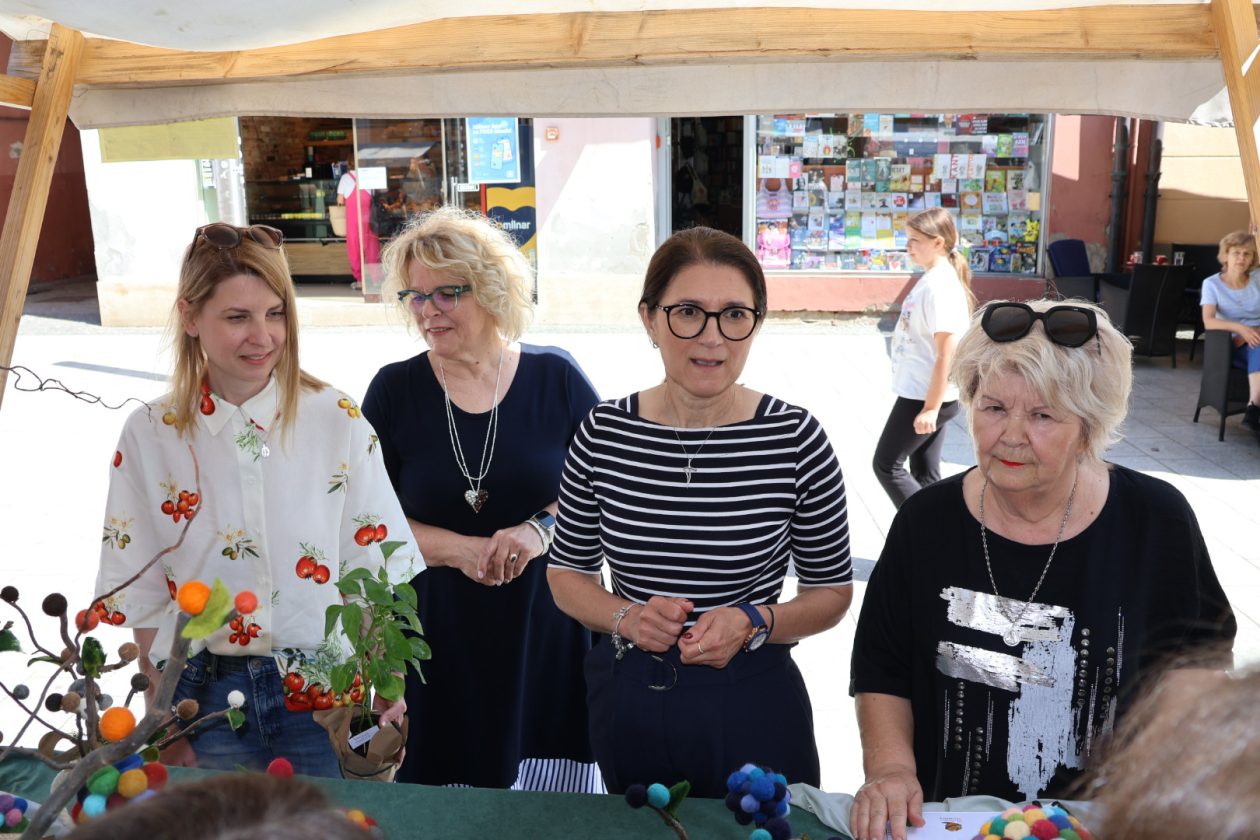 smotra učeničkih zadruga Čakovec (71) smotra učeničkih zadruga Čakovec (71)