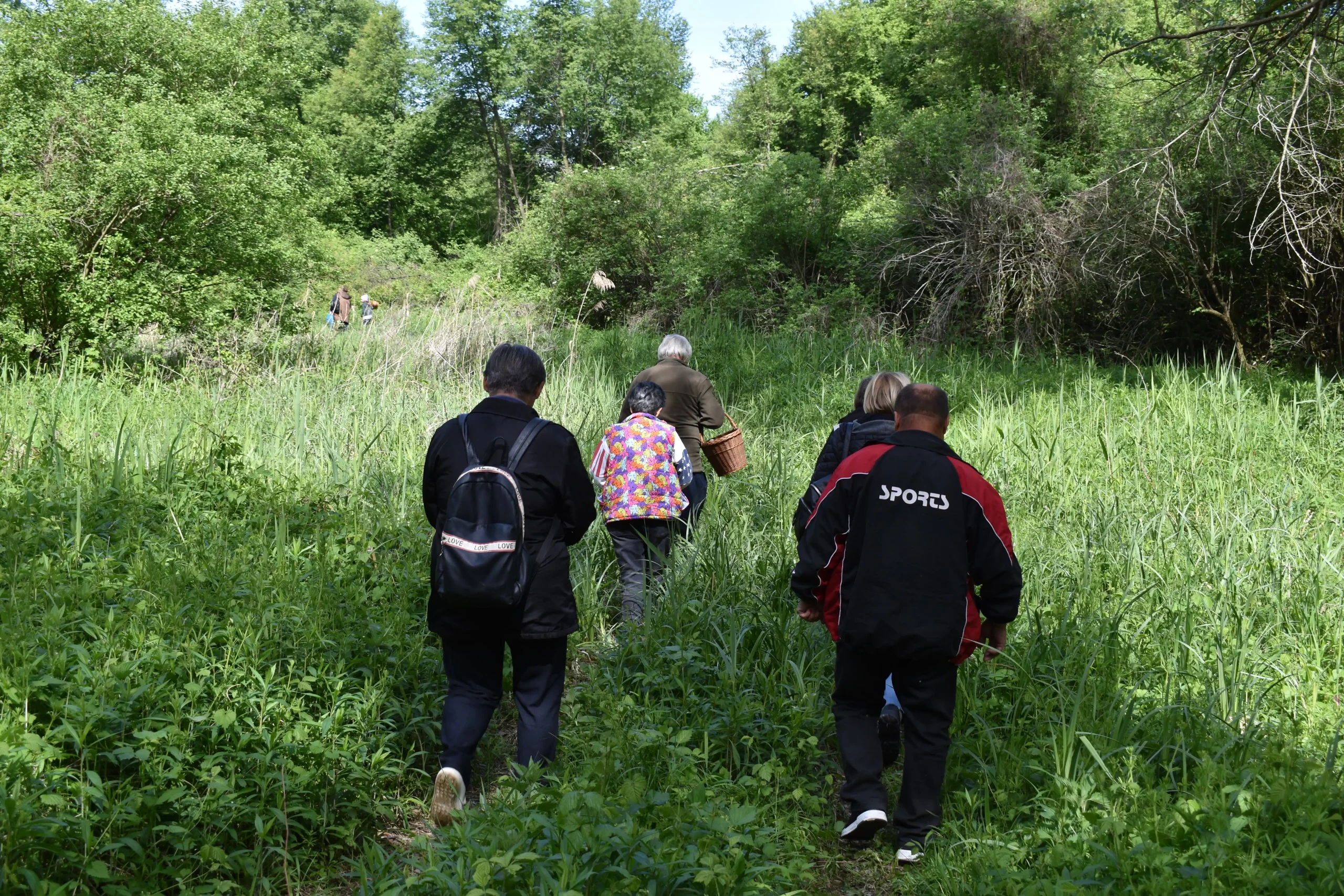 smrčkijada,nedelišće,mesap, (13) smrčkijada,nedelišće,mesap, (13)