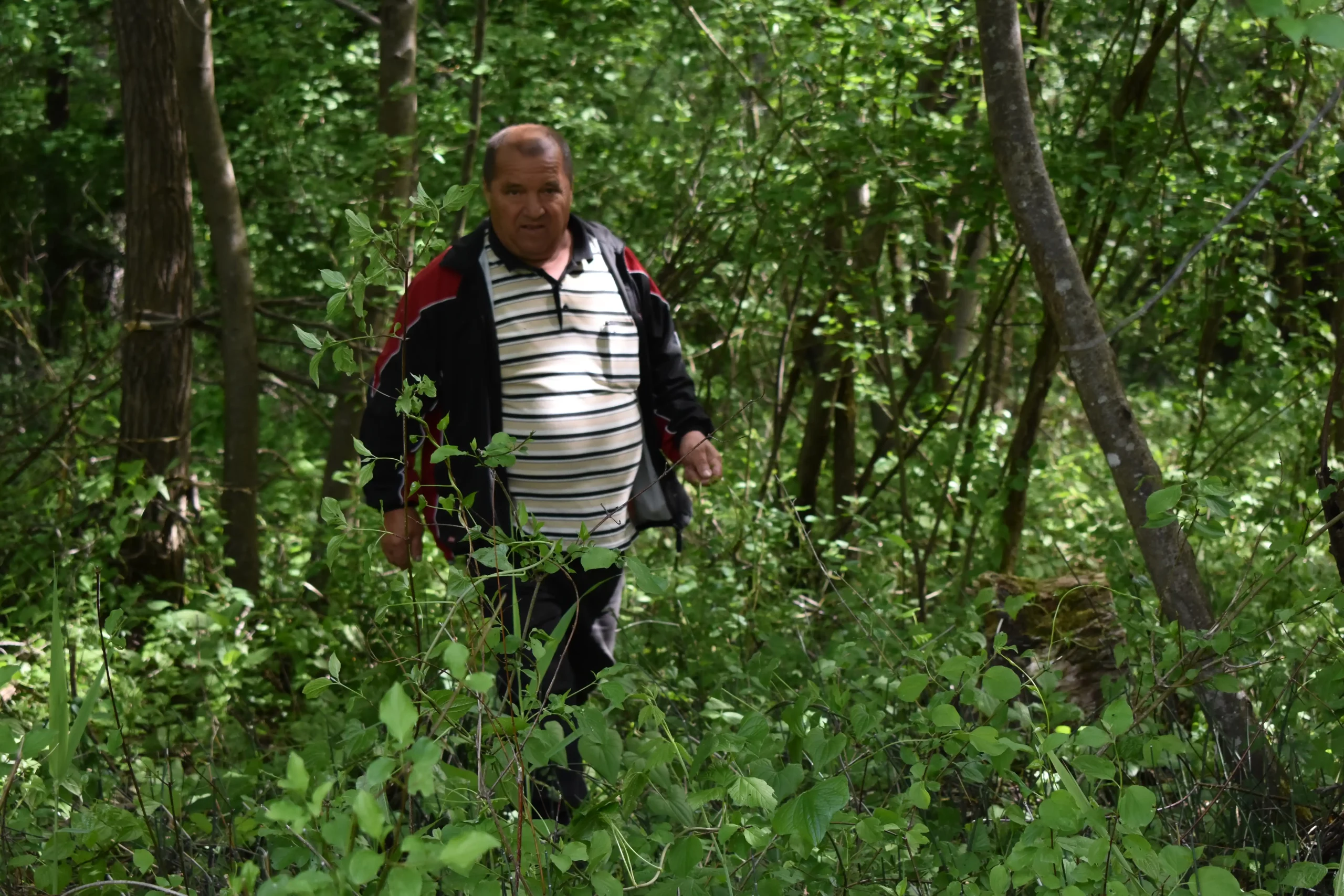 smrčkijada,nedelišće,mesap, (14) smrčkijada,nedelišće,mesap, (14)